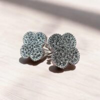 Aros de Acero  – Van Cleef