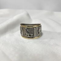 Anillo jeroglíficos - Plata y Oro