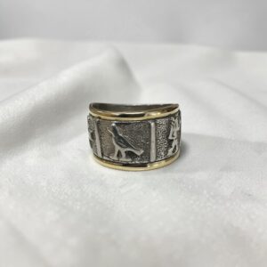 Anillo jeroglíficos - Plata y Oro
