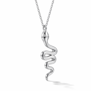Cadena con dije - Plata 925